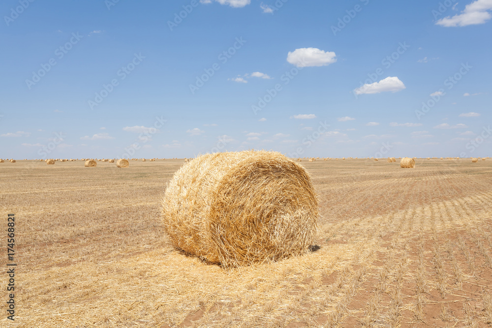 Endless fields of hay bails