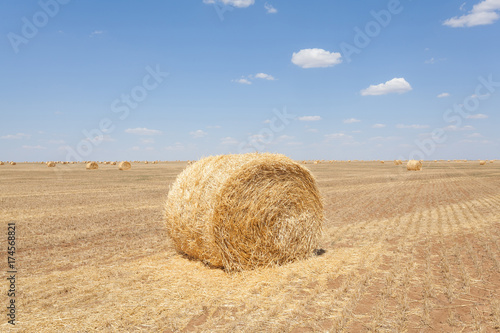 Endless fields of hay bails