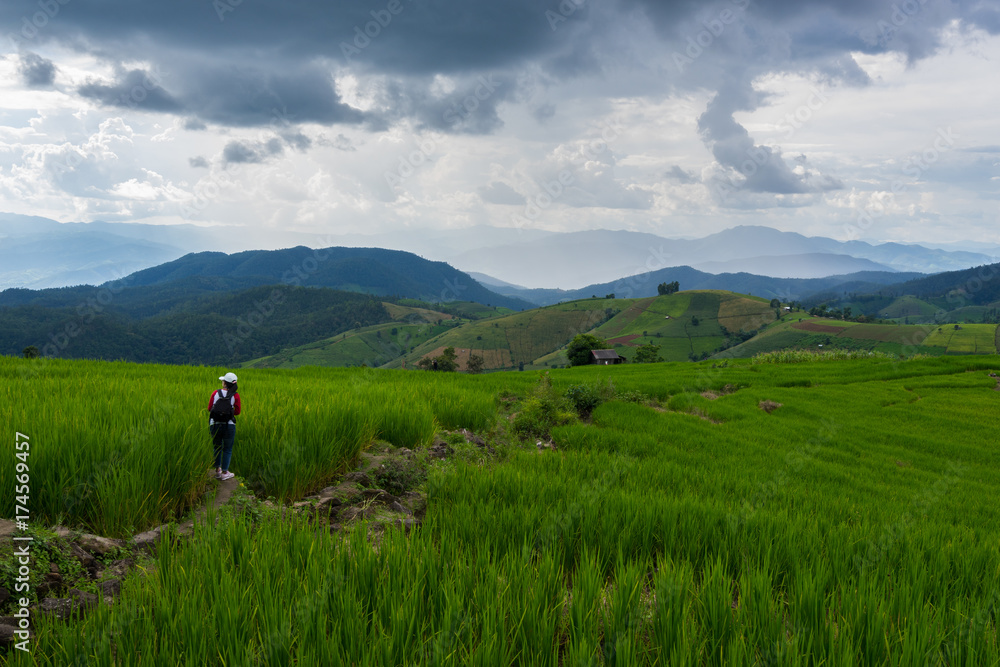 Rice Terraces at sunset time and in rainy season. Best feeling in nature and travel