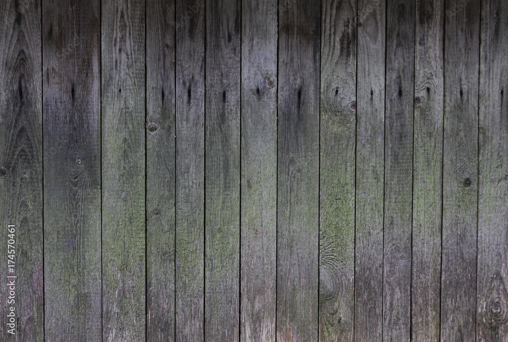 Obraz premium Holzwand