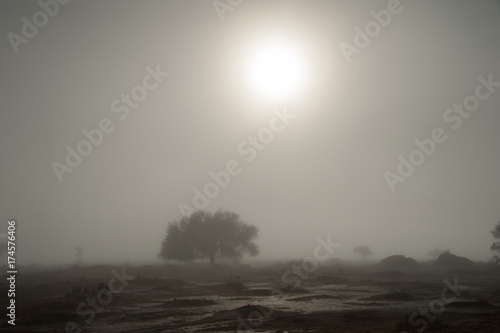 White rainbow through the morning mist near Dead Vlei 