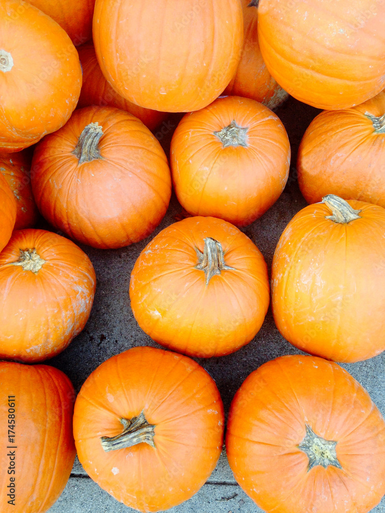 A collection of orange pumpkins form a nice fall background. A collection of orange pumpkins form a nice fall background.