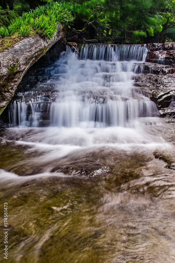 Liffey Falls State Reserve at the Midlands region of Tasmania, Australia.. Liffey Falls State Reserve at the Midlands region of Tasmania, Australia..