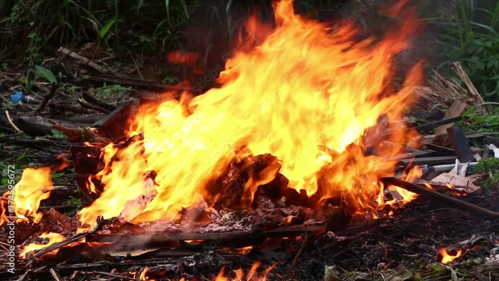 Fire Burns with moving flames and smoke
Fire Burns with moving flames and smoke