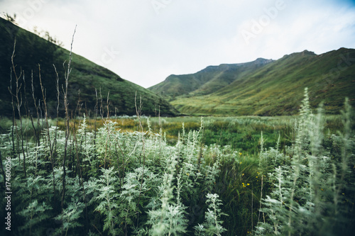 lush green mountain wilderness landscape photo