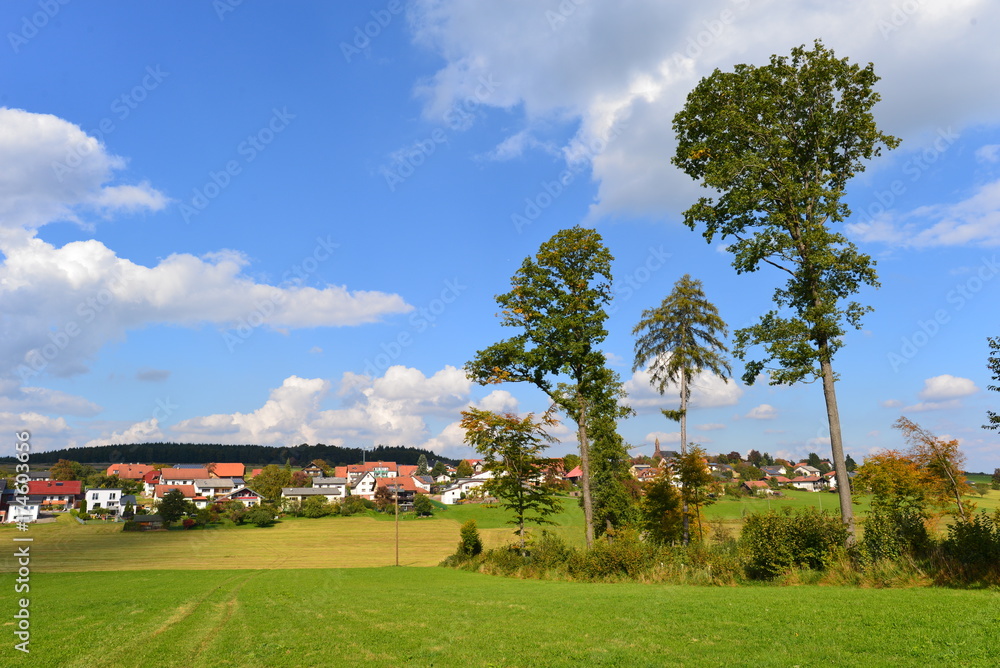 Gemeinde Mudau im Neckar-Odenwald-Kreis 