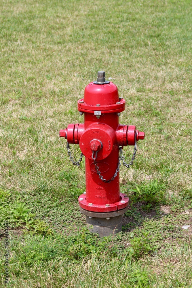 The red fire hydrant in the grass of the yard on a close up view. The red fire hydrant in the grass of the yard on a close up view.