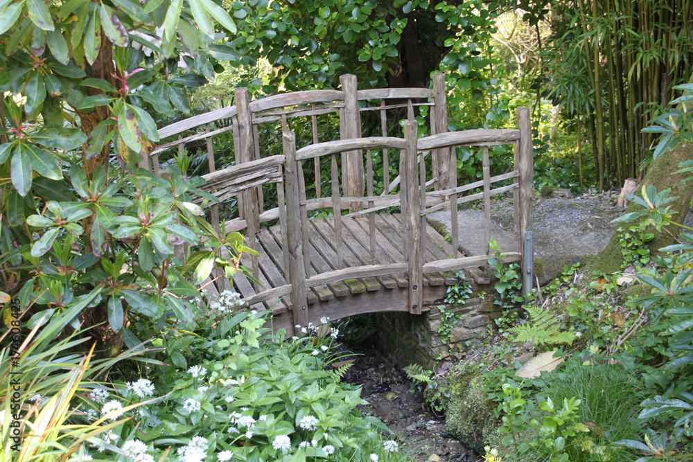 Bridge hidden in the undergrowth