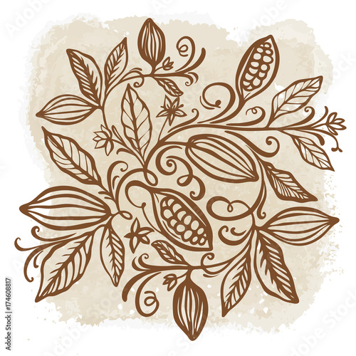 Cocoa beans illustration. Chocolate cocoa beans. Vector illustration