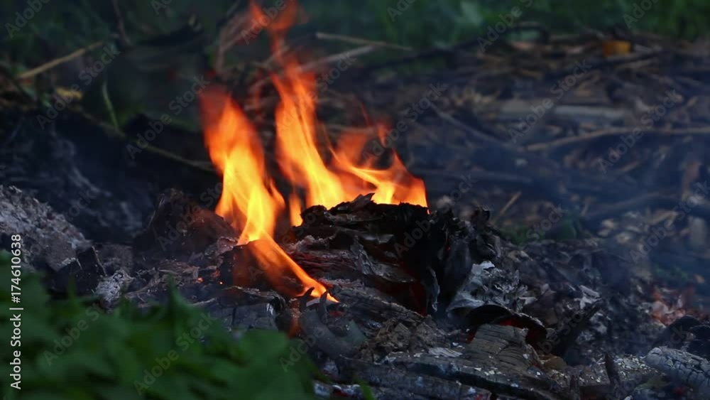 Fire Burns with moving flames and smoke
Fire Burns with moving flames and smoke