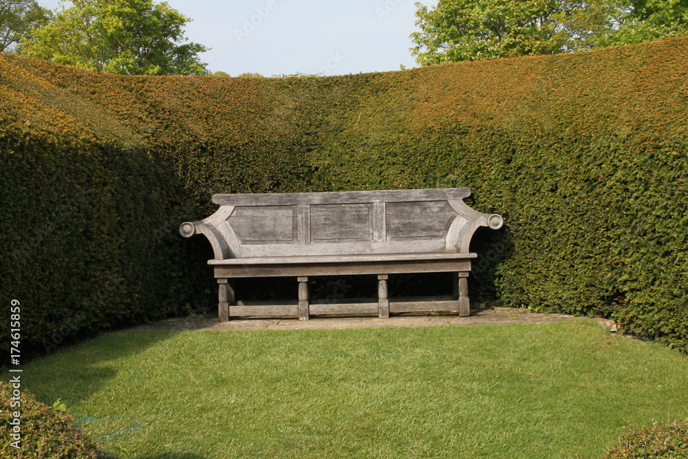 Secluded garden bench