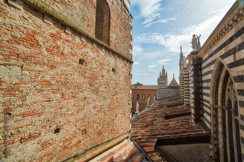 roofs of Siena Cathedral