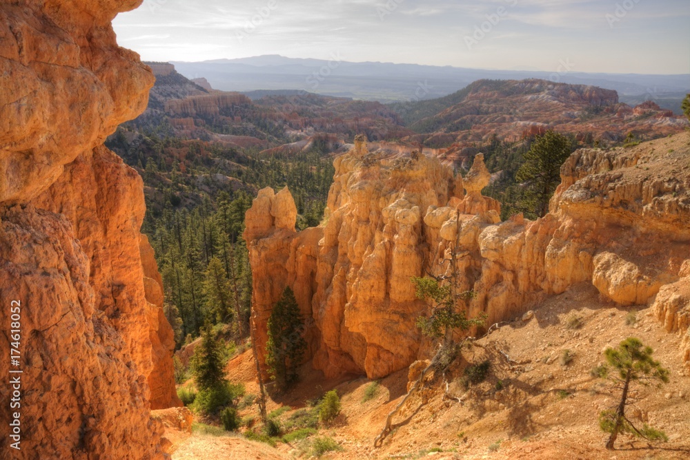 Hoodoos From the Rim Trail in Bryce Canyon