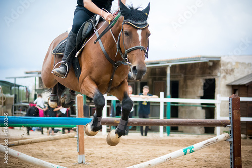 horse jumping obstacles during equestrian school training © daniele russo