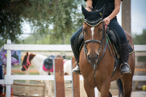 rider riding a horse standing by before a competition