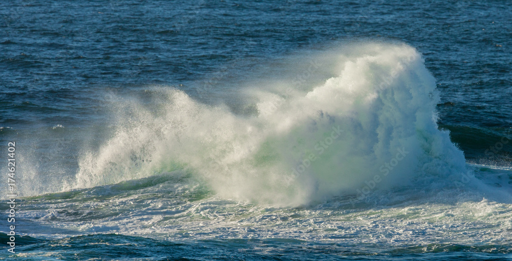 Naklejka premium Ocean Wave - 8759