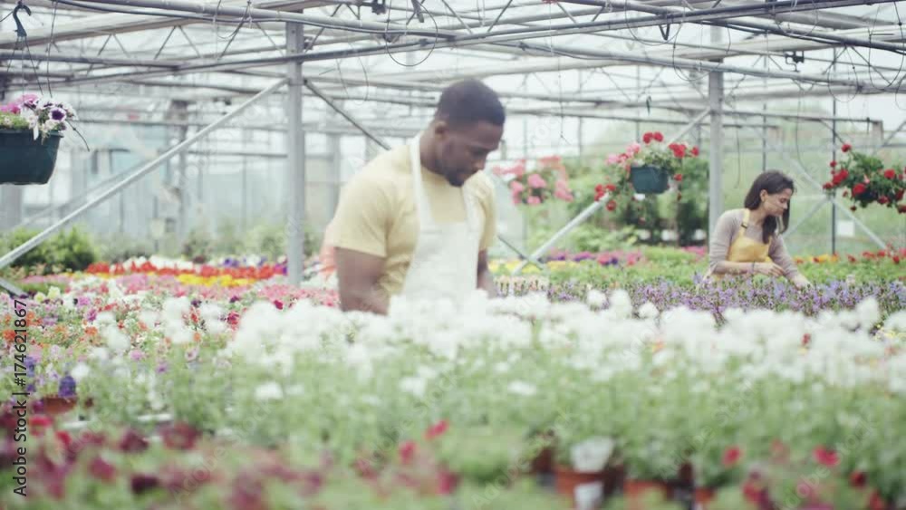 Workers in a garden center tending to flowering plants while customers browse Workers in a garden center tending to flowering plants while customers browse