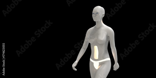 Extremely detailed and realistic high resolution 3d illustration of a humanoid android