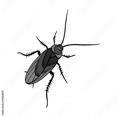 A mustachioed cockroach. Arthropod insect, cockroach single icon in monochrome style vector symbol stock isometric illustration web.