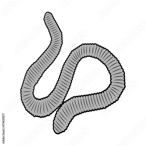 A worm, a boneless animal. Earthworm single icon in monochrome style vector symbol stock isometric illustration web.