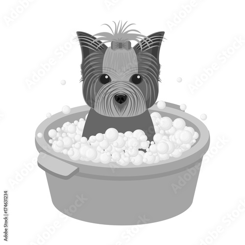 Bathing pet puppy in a bowl. dog,Pet,dog care single icon in monochromt style vector symbol stock illustration web.