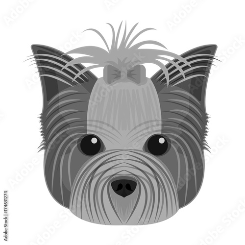 Muzzle of a pet, a hairdress dog with a bow. Pet ,dog care single icon in monochromt style vector symbol stock illustration web. photo