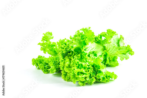 lettuce  isolated on white background