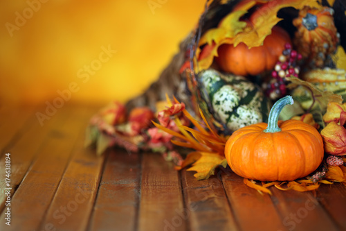 Pumpkins, gourds, and leaves in an Autumn cornucopia background photo