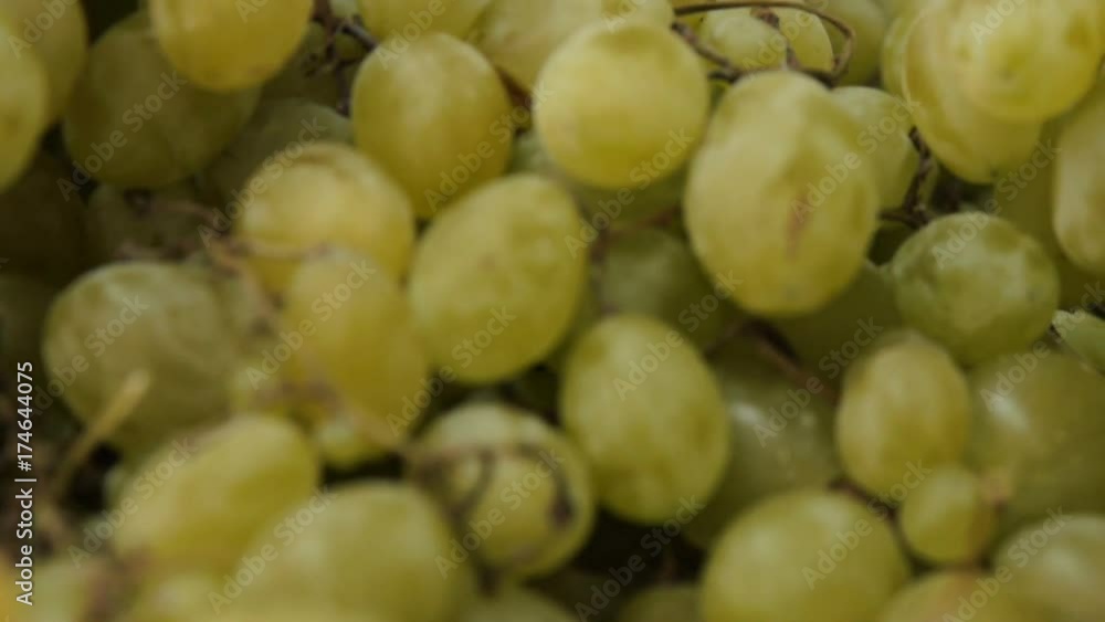 White table grapes dolly shoot White table grapes dolly shoot