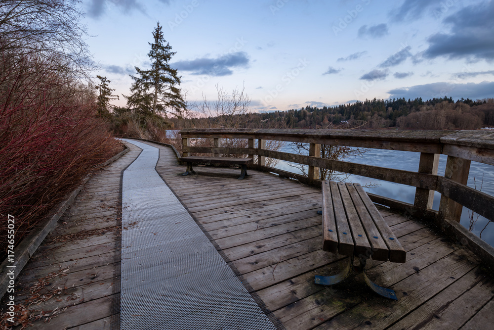 Naklejka premium Path in the park with a beautiful nature view. Picture taken in Deer Lake, Burnaby, Greater Vancouver, BC, Canada.