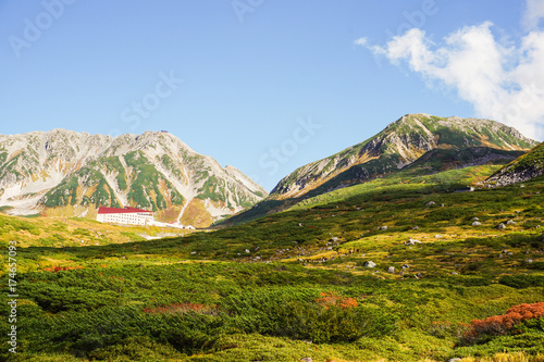 Wallpaper Mural 北アルプス山脈の絶景　紅葉シーズン Torontodigital.ca