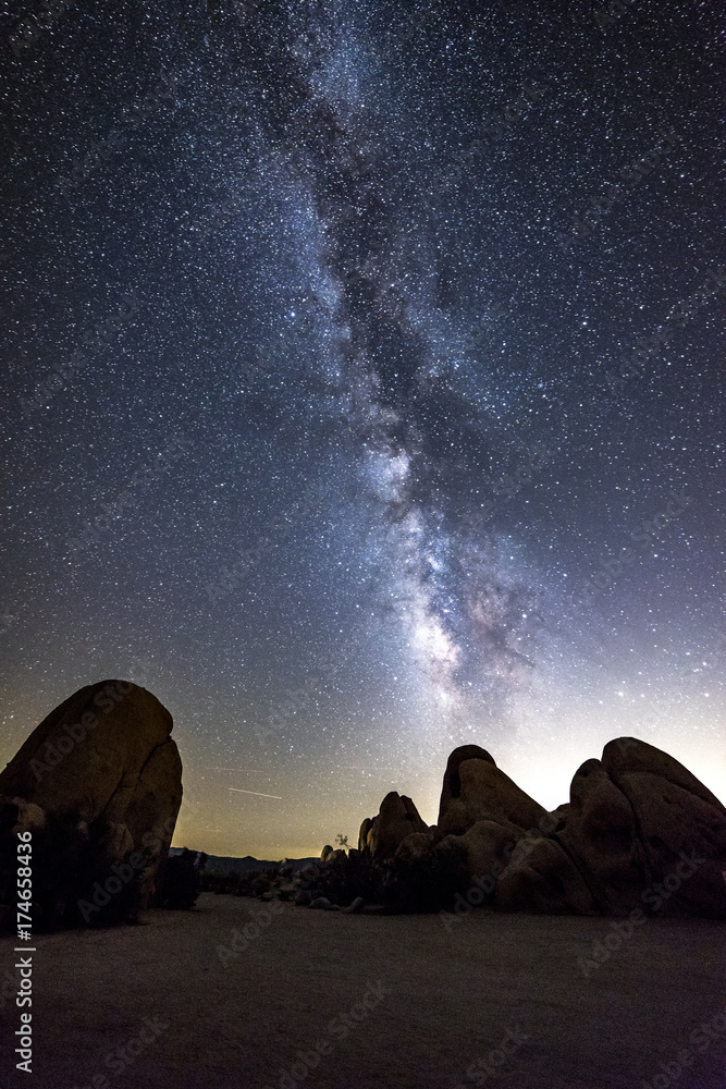 The night sky peppered with thousands of stars and the beautiful Milky Way, which hangs vertically over a Joshua Tree in Joshua Tree National Park.