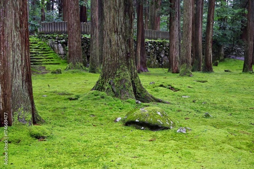 苔が美しい日本の神社 © goro20