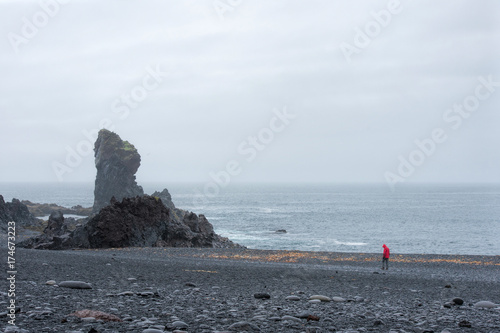 Cove of Dritvik in Iceland photo