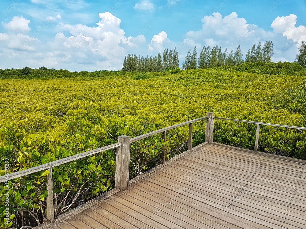 Fototapeta premium observation wood deck and golden tree background