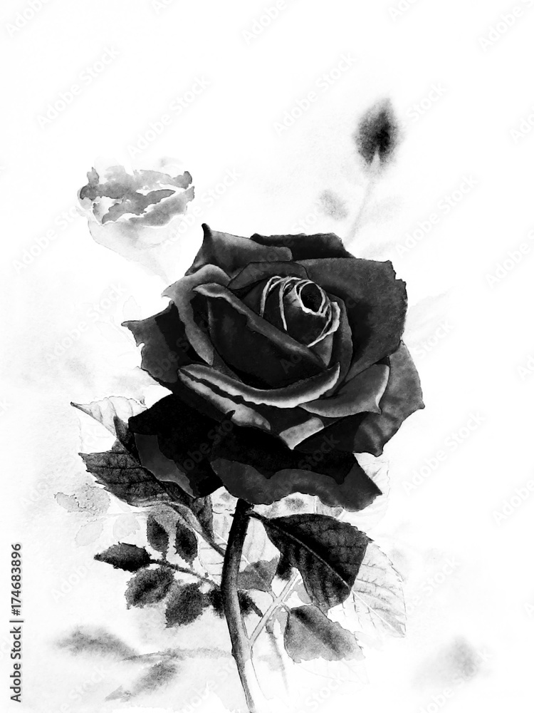 Painting black color of rose flower and emotion Stock Illustration | Adobe  Stock
