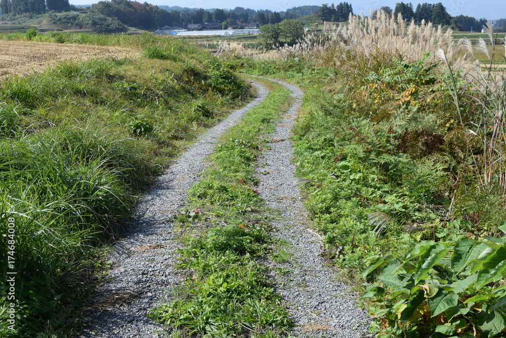 農業専用道路 農業専用道路