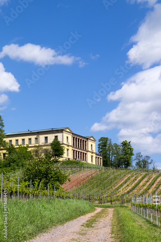 Schloß Villa Ludwighöhe