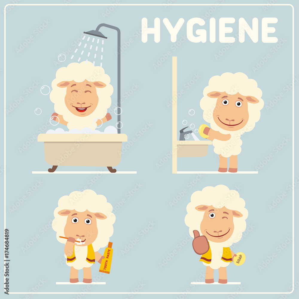 Set of funny sheep is hygiene showering, washing hands, brushing her