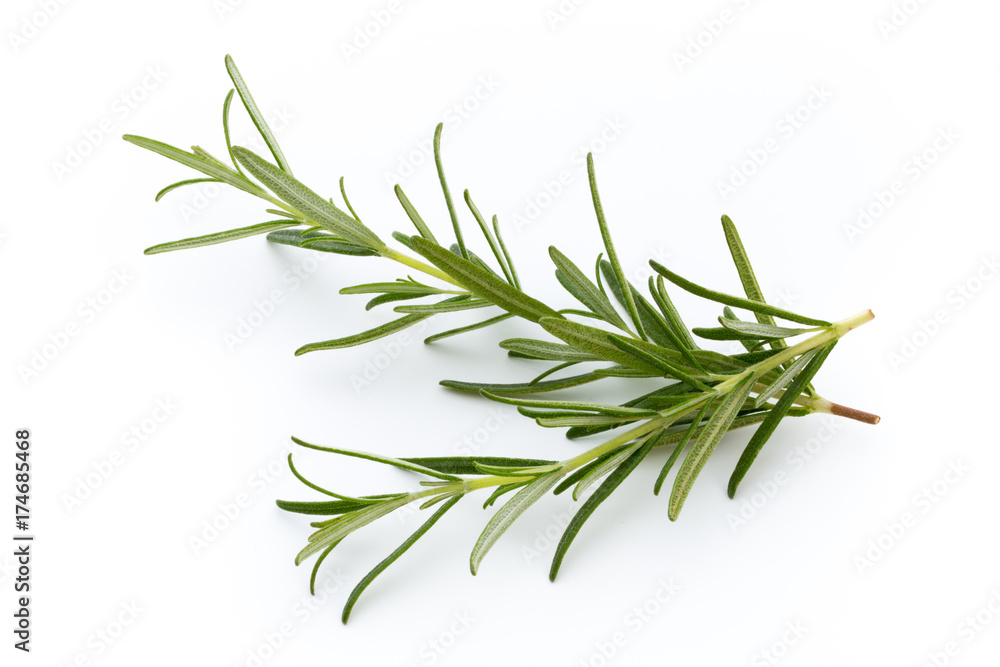 Obraz premium Rosemary isolated on white background, Top view.