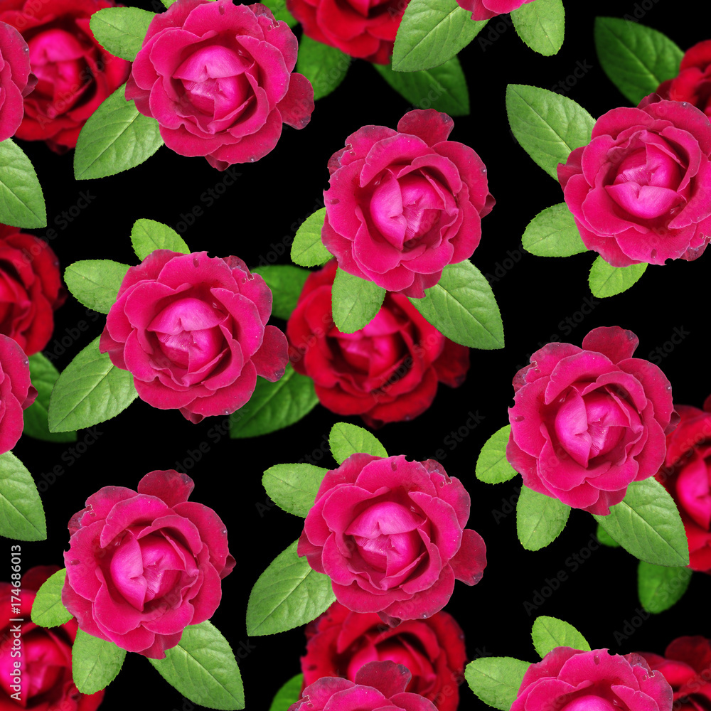 Beautiful floral background of roses Beautiful floral background of roses