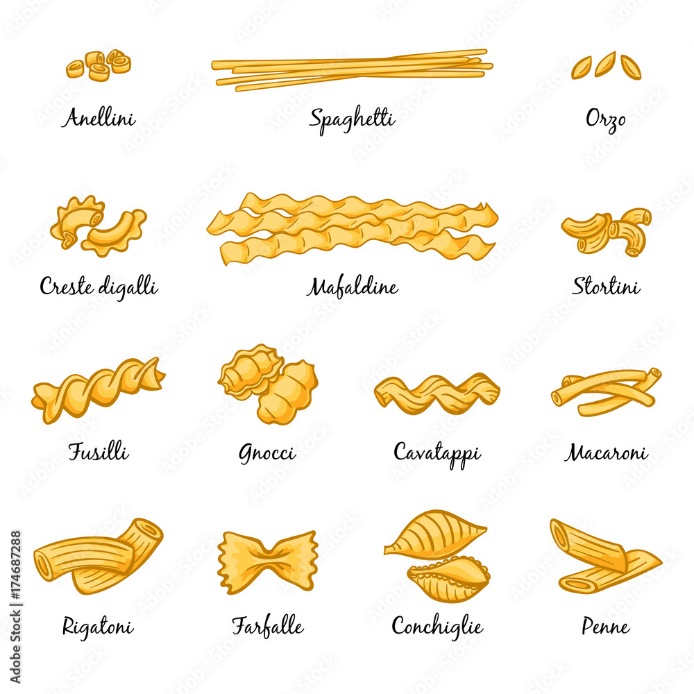 Different types macaroni and italian pasta Vector Image