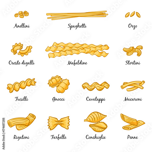 Macaroni, spaghetti and others type of italian pasta. Vector pictures isolate on white