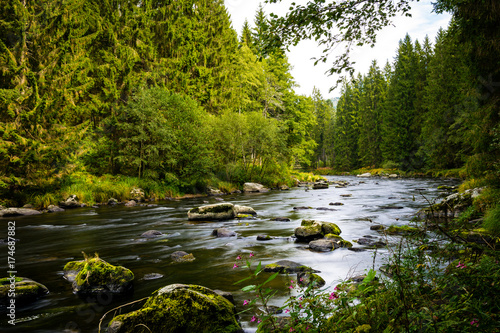 Fototapeta Naklejka Na Ścianę i Meble -  Bayerisch Kanada mit Fluss und Steinen im Bayerischen Wald