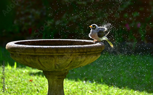 noisy minor splashing water