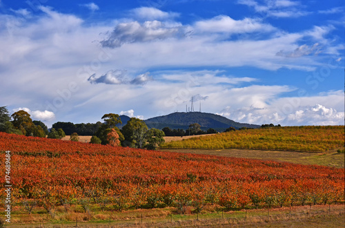 Foto Autumn in  Orange, NSW, Australia