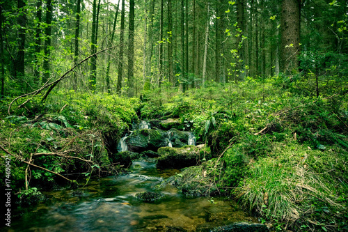 Fluss mit kleinem Wasserfall im Bayerischen Wald