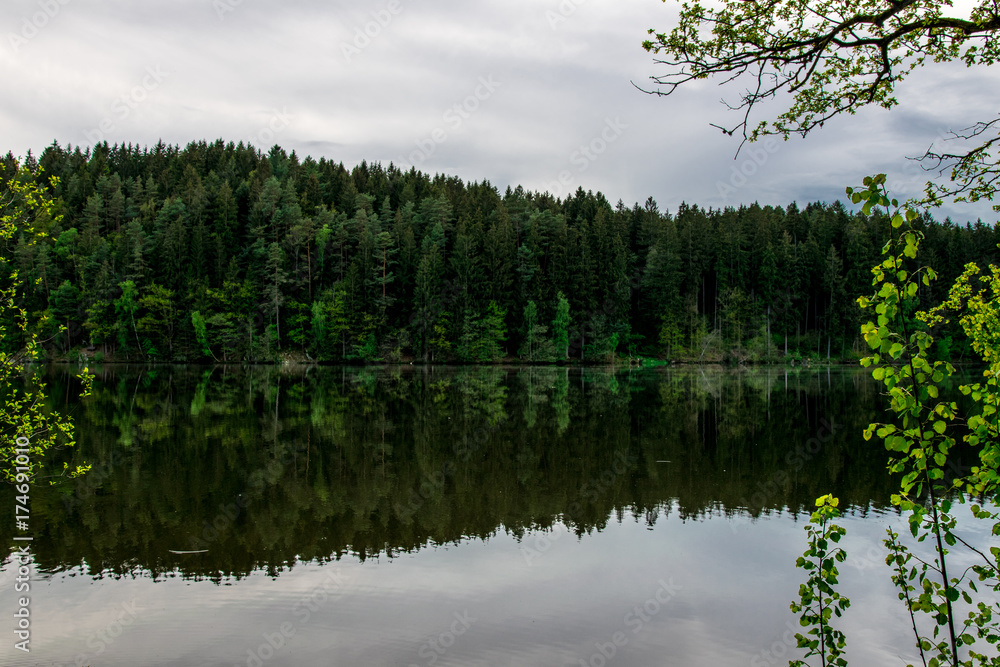 Spiegelung am Blaibacher See im Bayerischen Wald