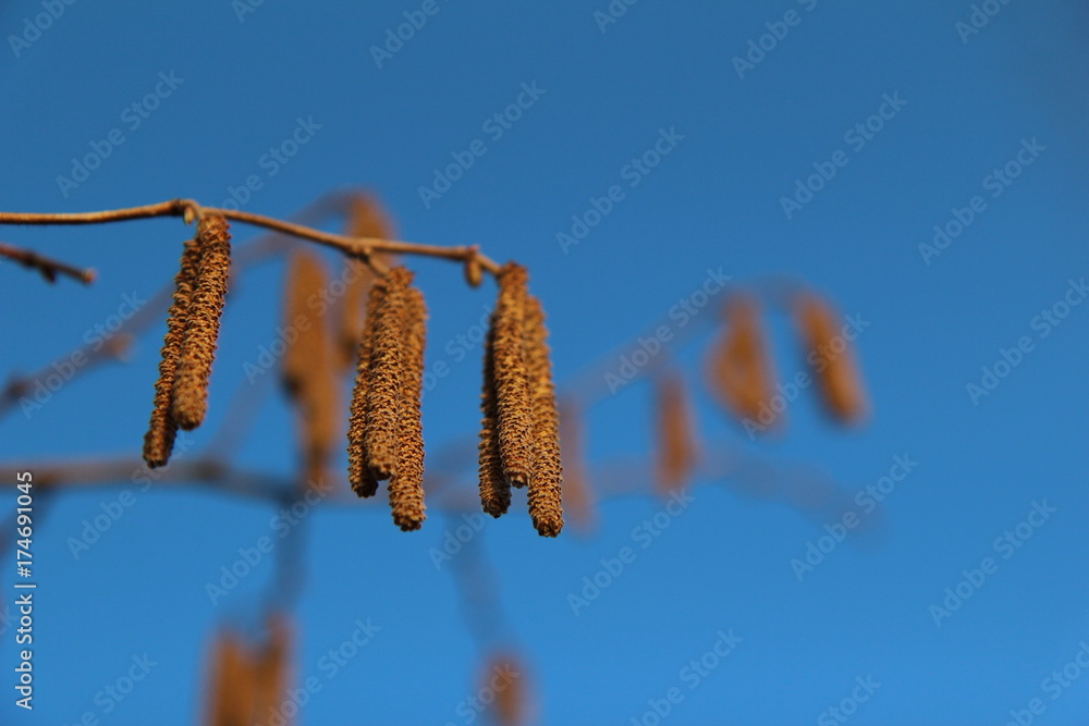 Naklejka premium Steyr - Austria