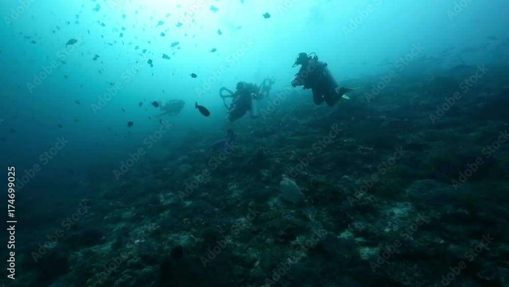 Scuba divers drift diving over coral reef in the Raja Ampat islands Scuba divers drift diving over coral reef in the Raja Ampat islands